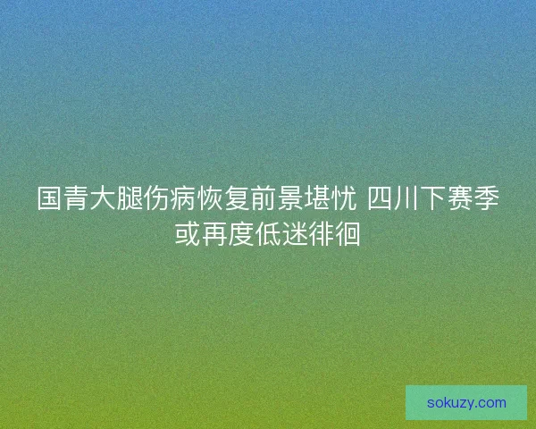 国青大腿伤病恢复前景堪忧 四川下赛季或再度低迷徘徊