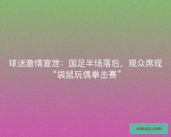 球迷激情宣泄：国足半场落后，观众席现 “袋鼠玩偶拳击赛”